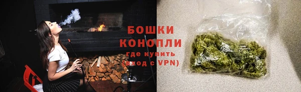 молекула духа Арсеньев