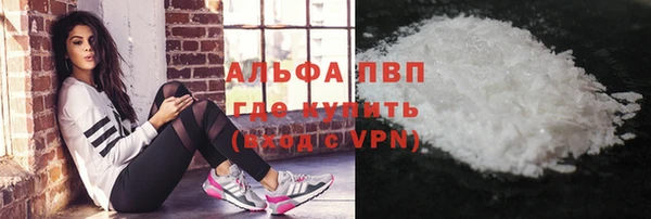 молекула духа Арсеньев