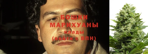 молекула духа Арсеньев