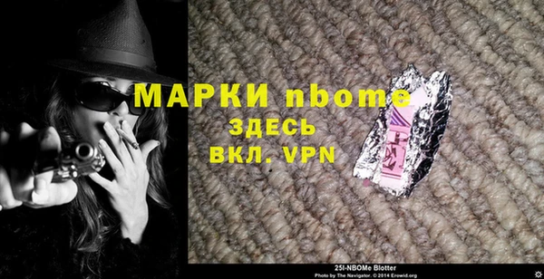 молекула духа Арсеньев