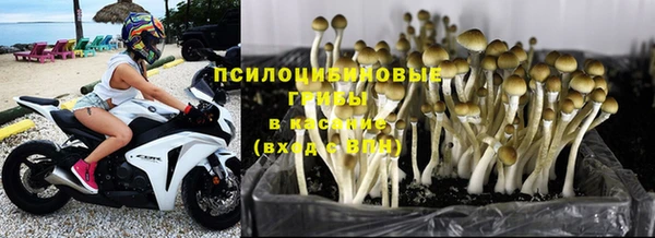 молекула духа Арсеньев
